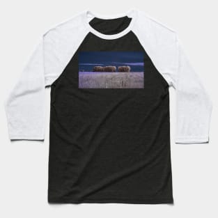 Avenue of poplars Baseball T-Shirt